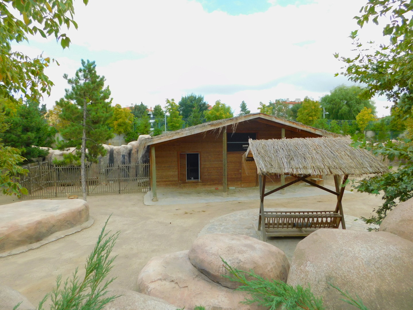 Part of the Goitered Gazelle Enclosure