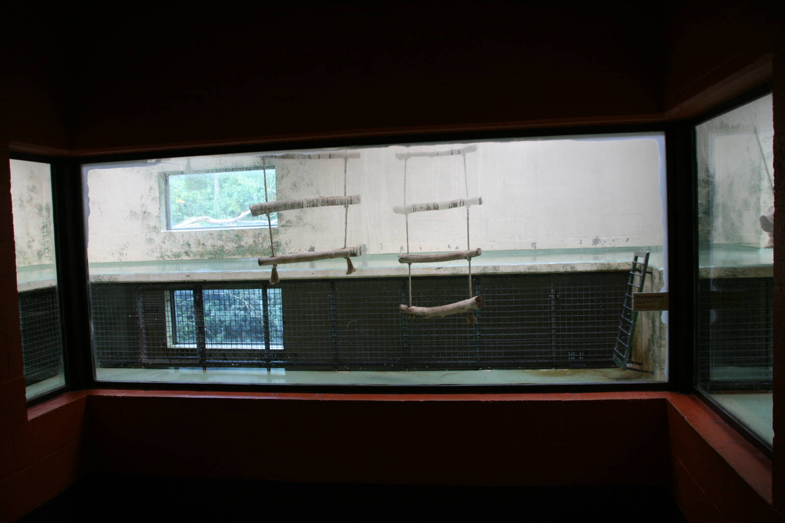 part of the Gorilla indoor enclosure