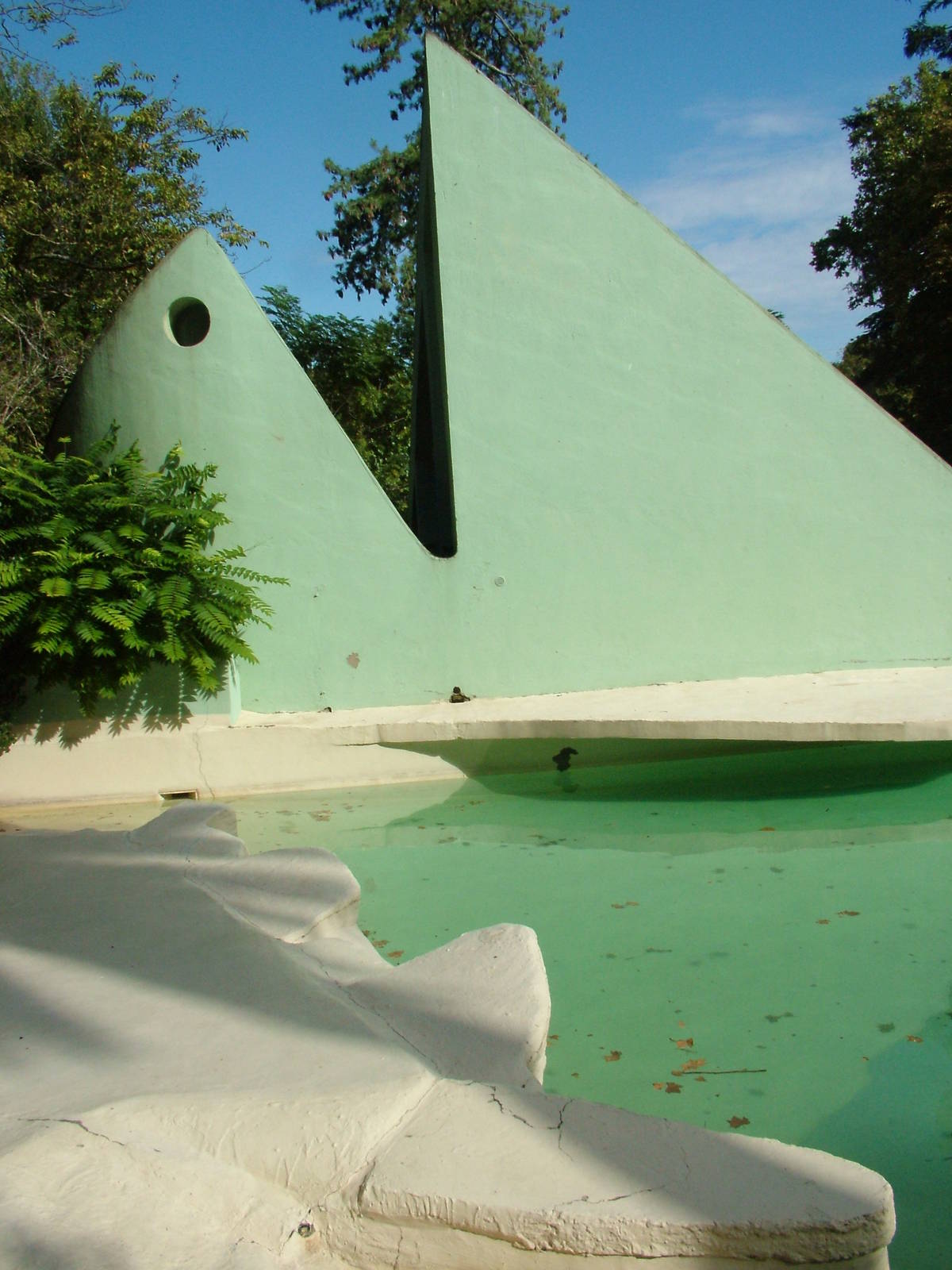 Part of the Grey Seal Pool at Bioparco Rome 15/10/09