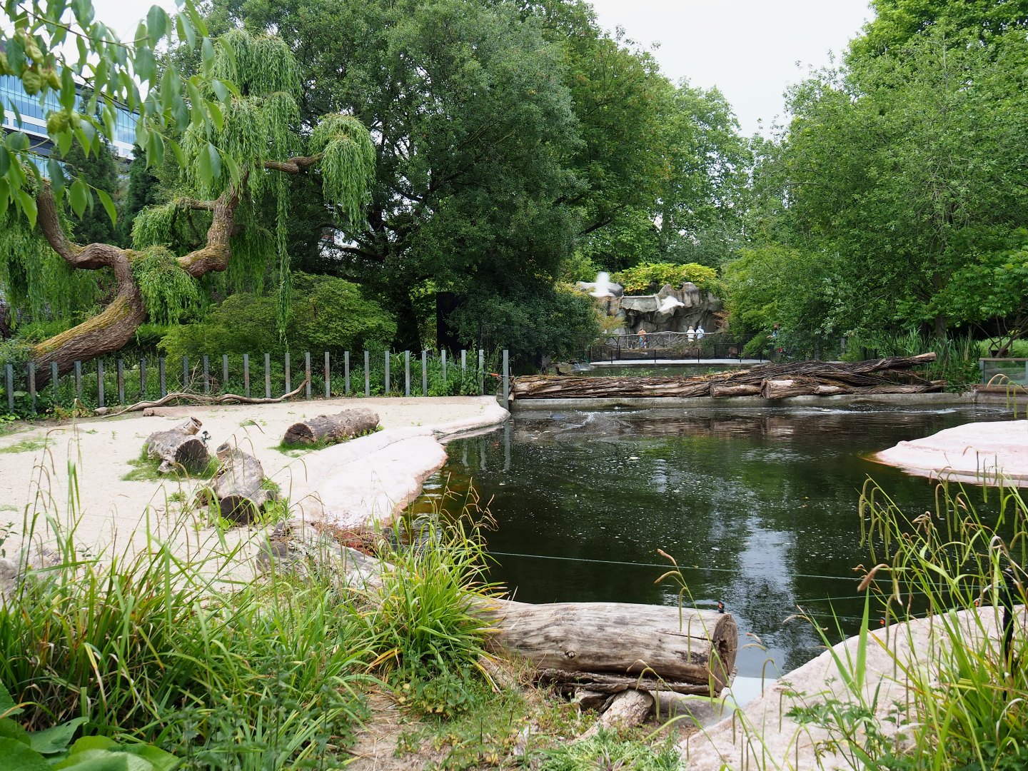 Part of the hippopotamus exhibit, 2020-05-24