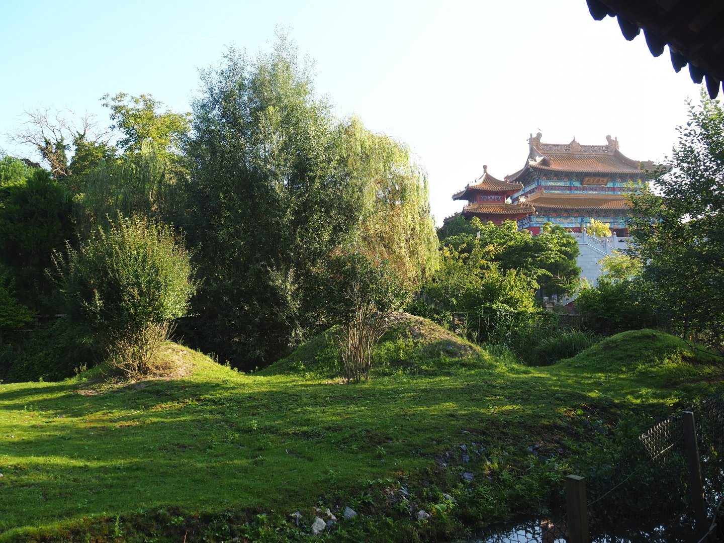 Part of the Indian hog deer and Demoiselle crane exhibit, with the large Chinese temple in the background, 2021-09-03