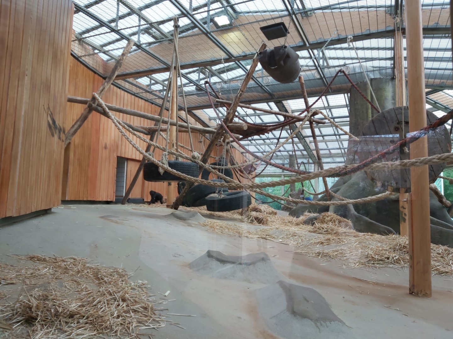 Part of the indoor gorilla enclosure