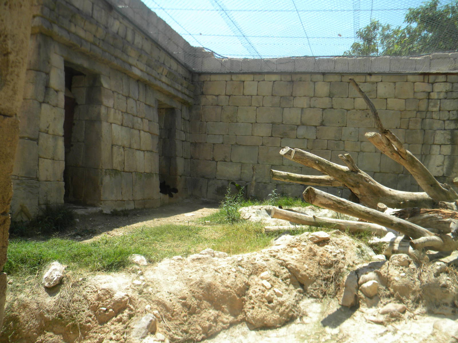 Part of the Jaguar enclosure at Terra Natura 29/07/11