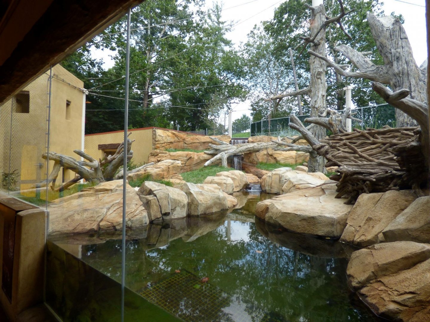 Part of the Jaguar exhibit