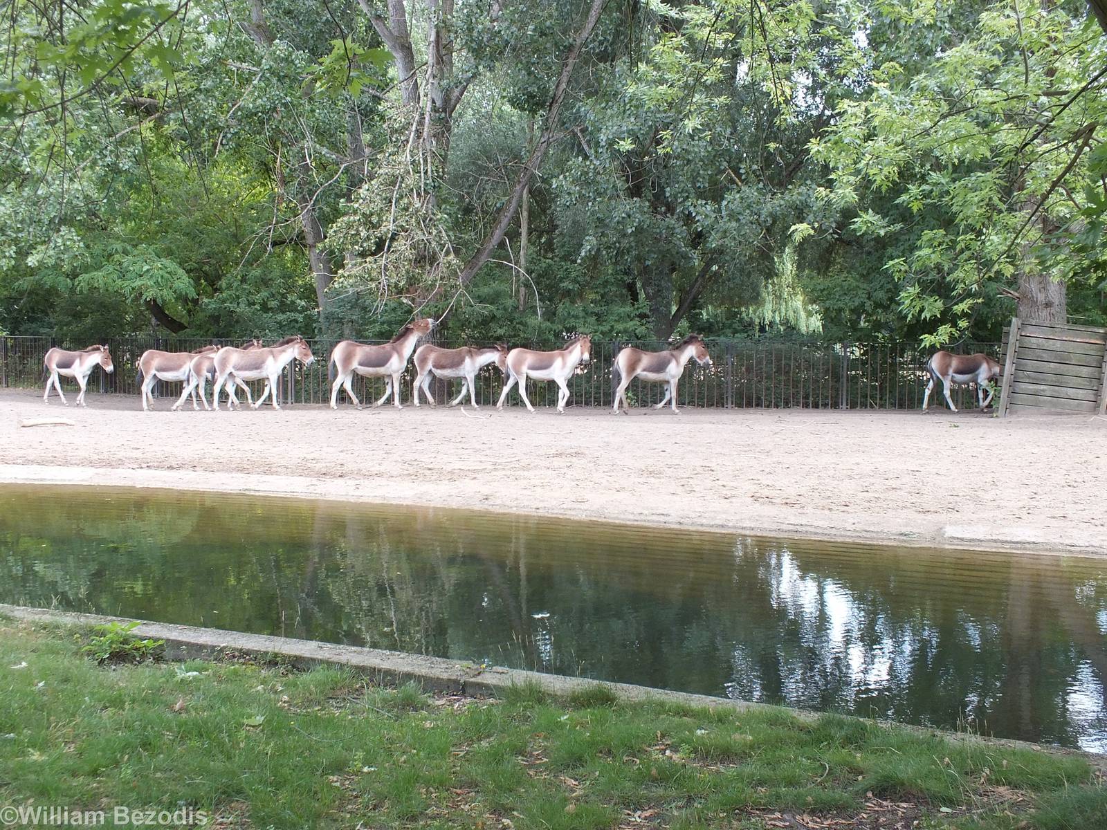 Part of the Kiang Group