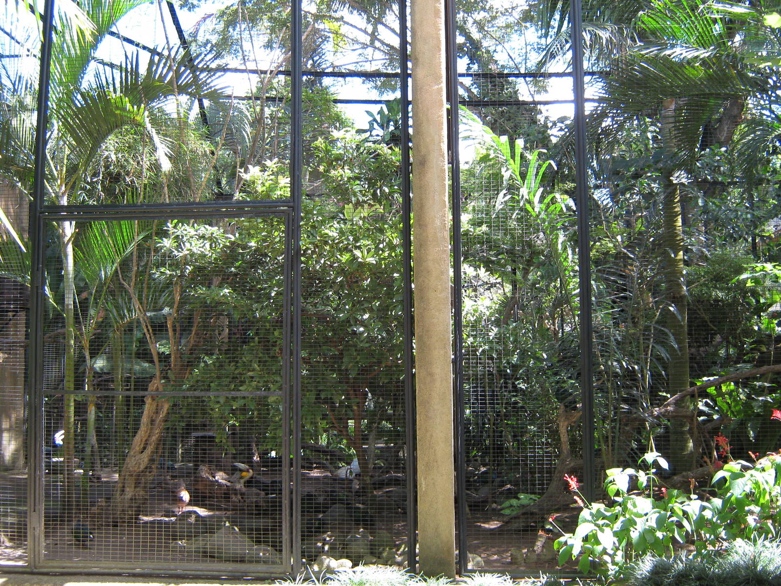 part of the large Asian aviary