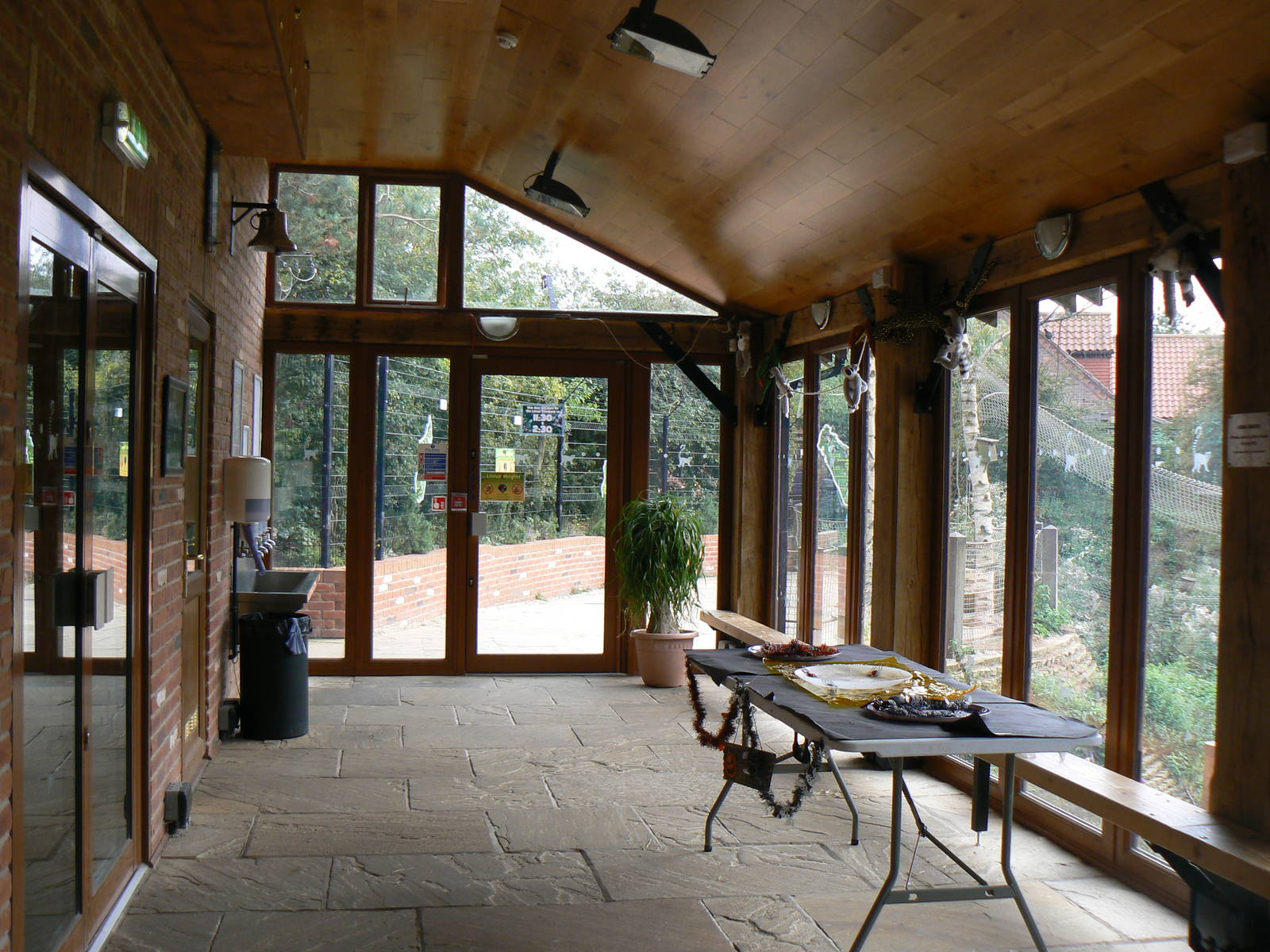 Part Of The Lemur Area