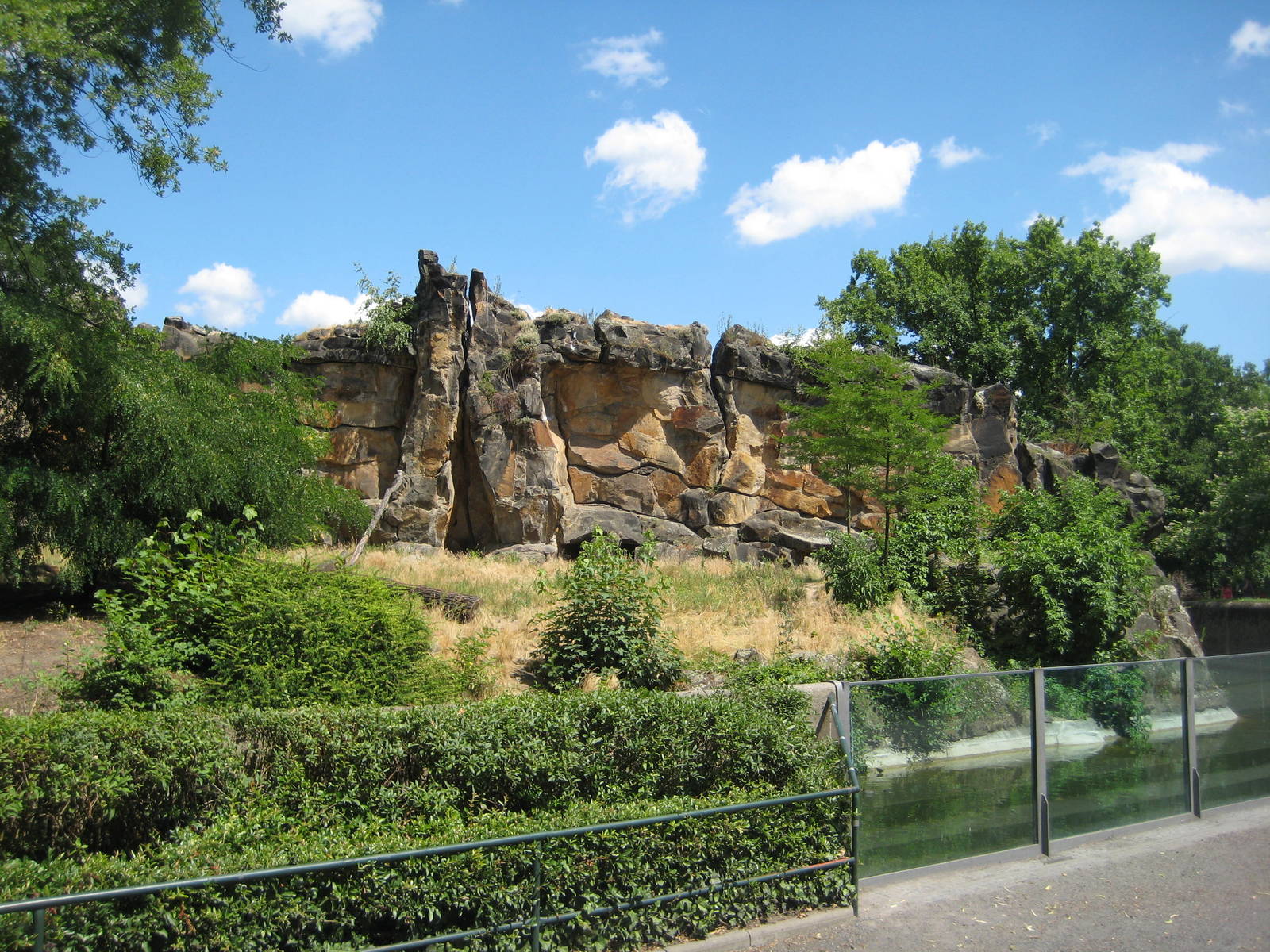 Part of the lion exhibit