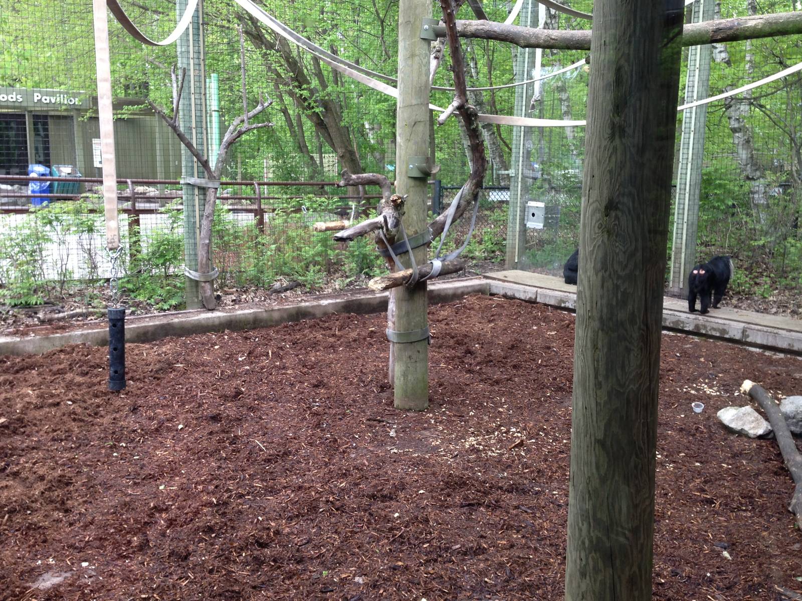Part of the Lion Tailed Macaque Exhibit