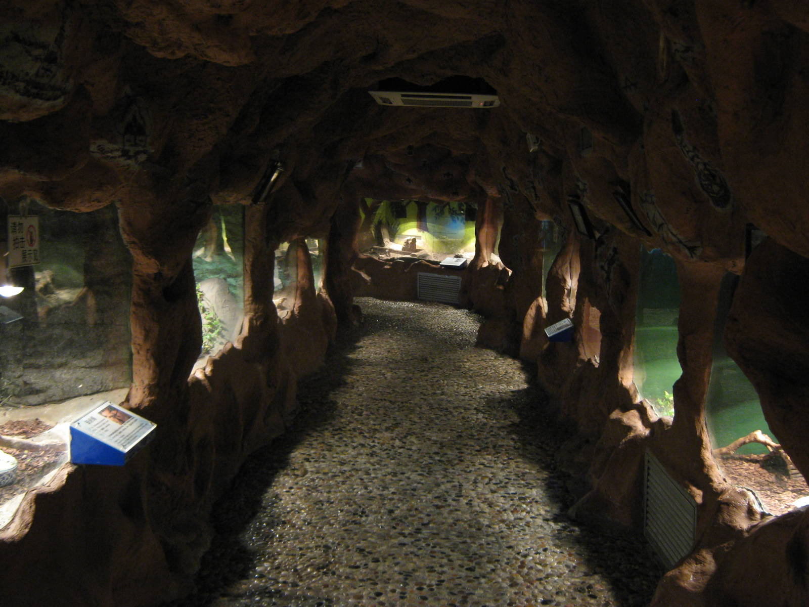 part of the lizard corridor