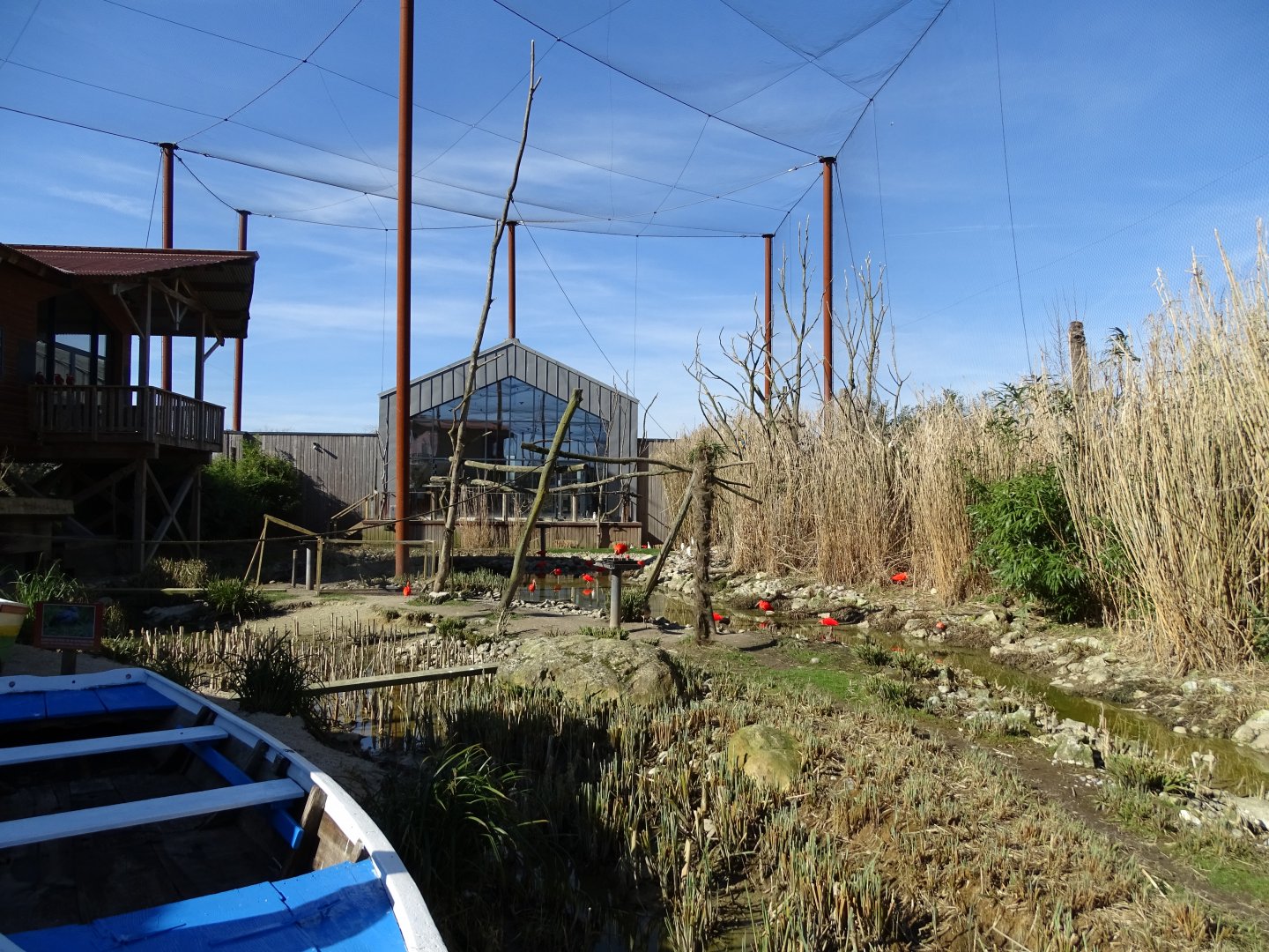 Part of the main aviary