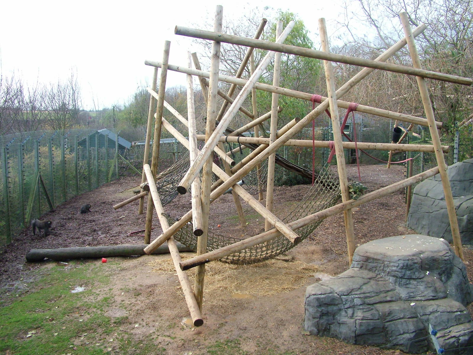 Part of the Mandrill exhibit at Colchester 29/11/09