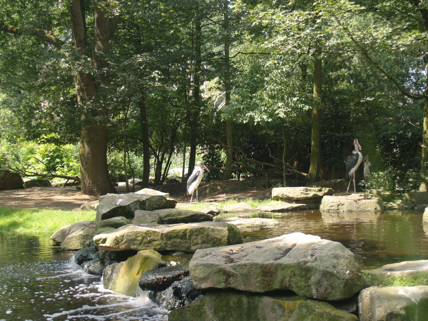 Part of the Marabou exhibit, 2006-07-08