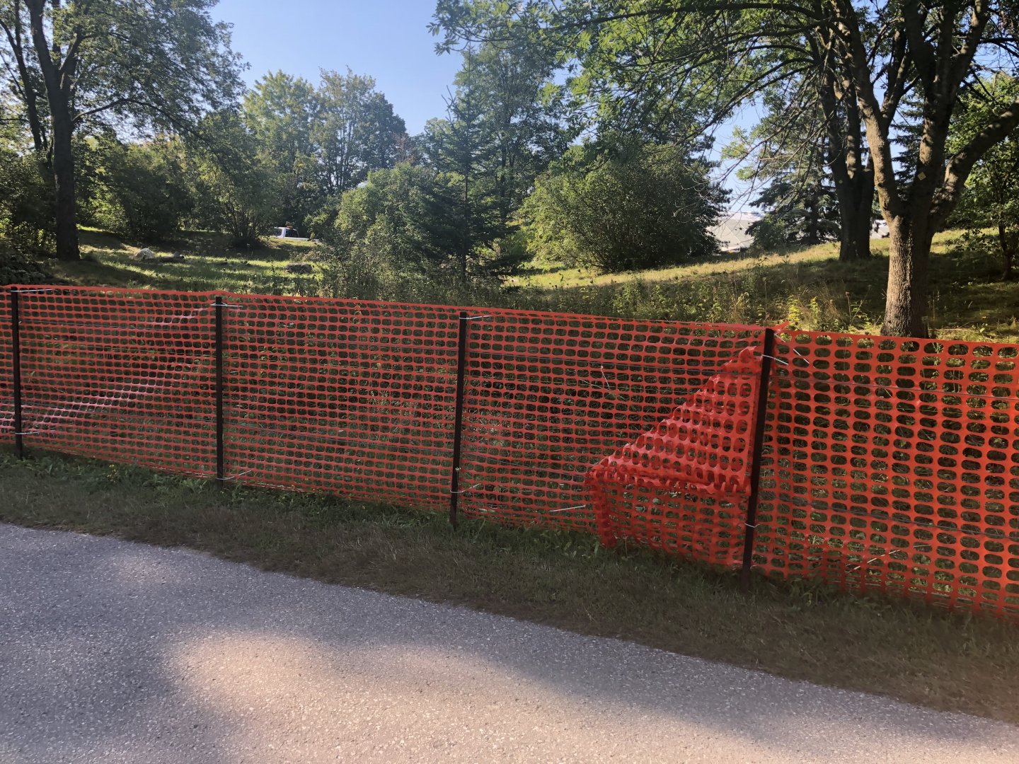 Part of the marking areas for the (Highly Likely) Amur Tiger expansion