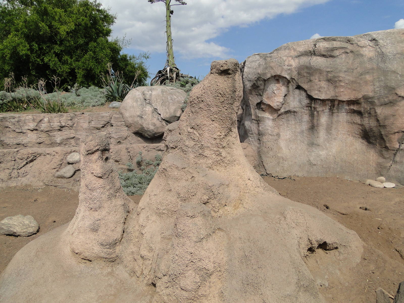 Part of the meerkat exhibit