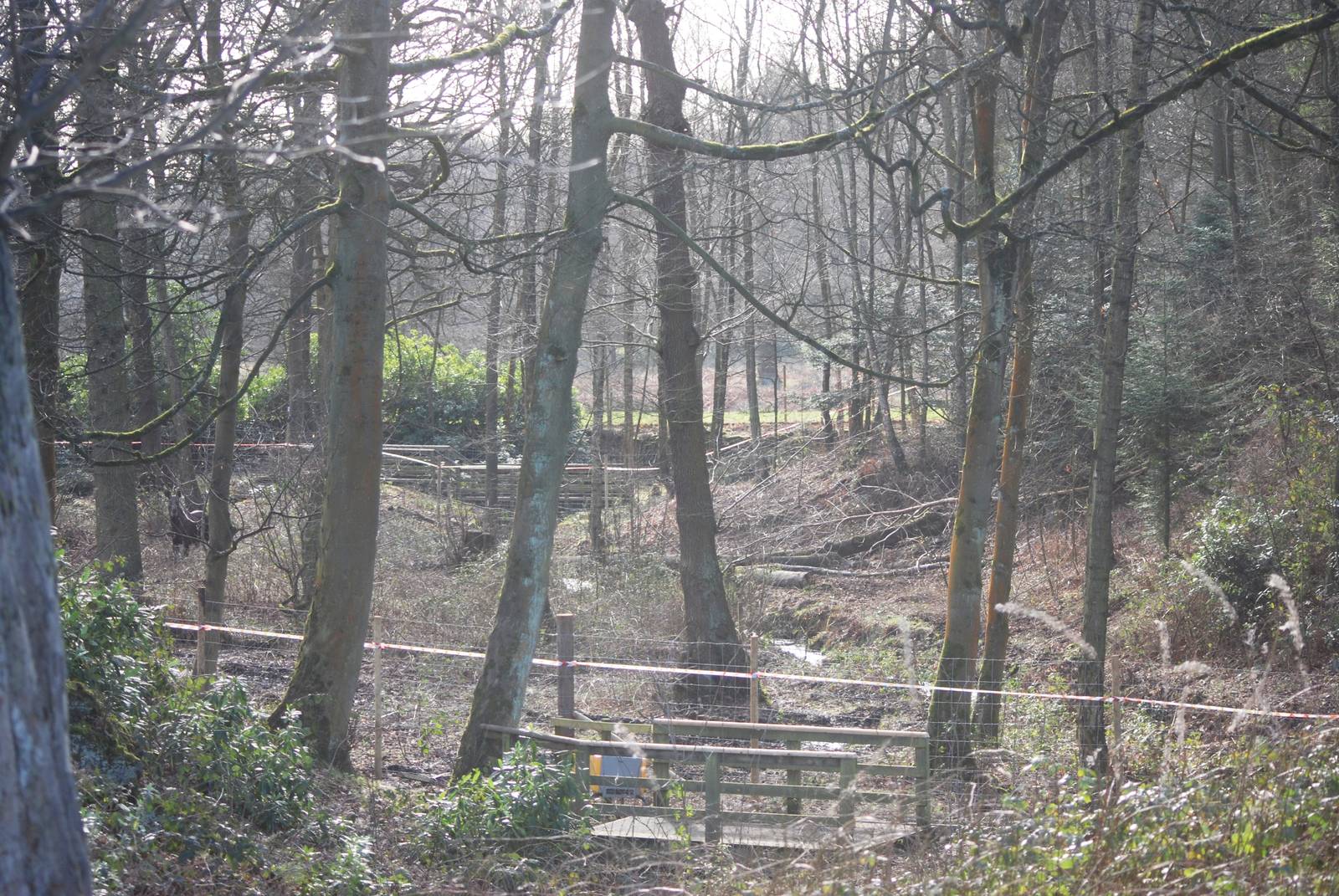 Part of the Moose Enclosure at Knowsley, 01/02/15