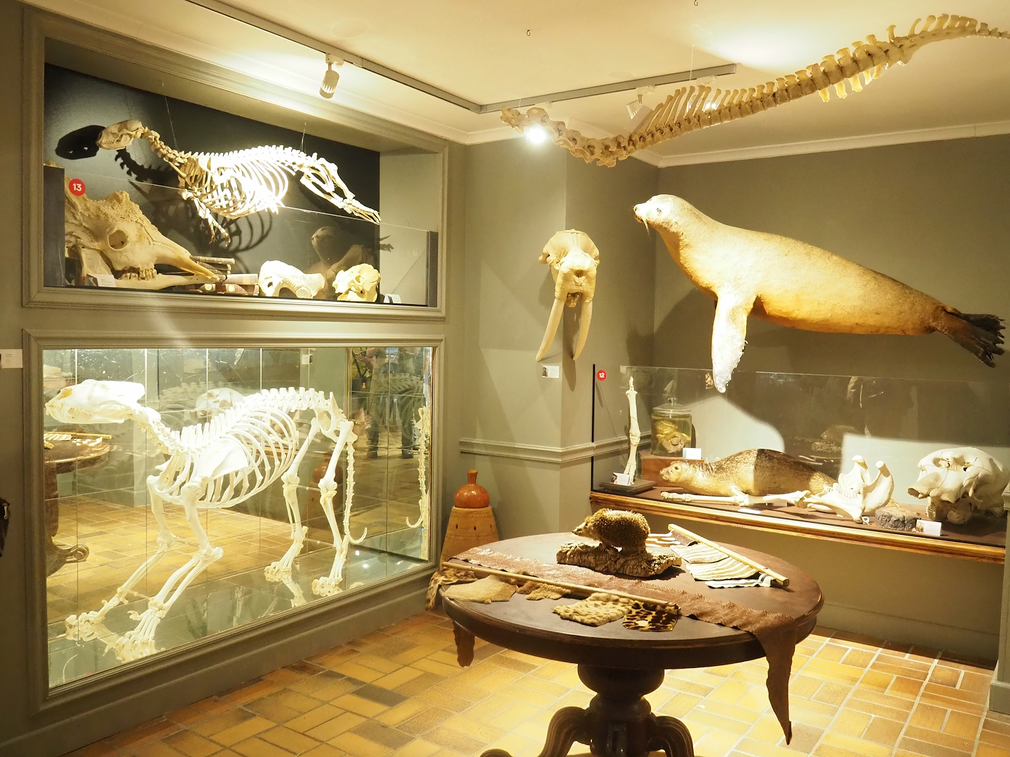 Part of the museum, 2023-08-17