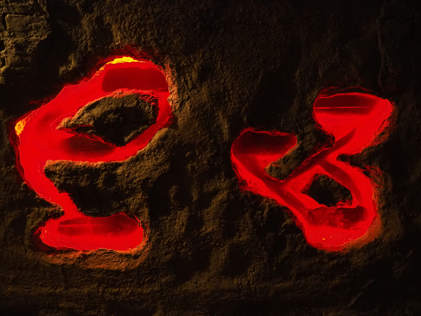 Part of the naked mole-rat exhibit, 2020-09-03