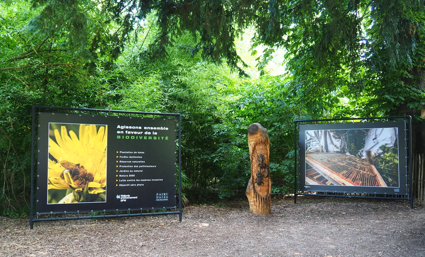 Part of the new educational exhibition on pollinators, 2021-09-02