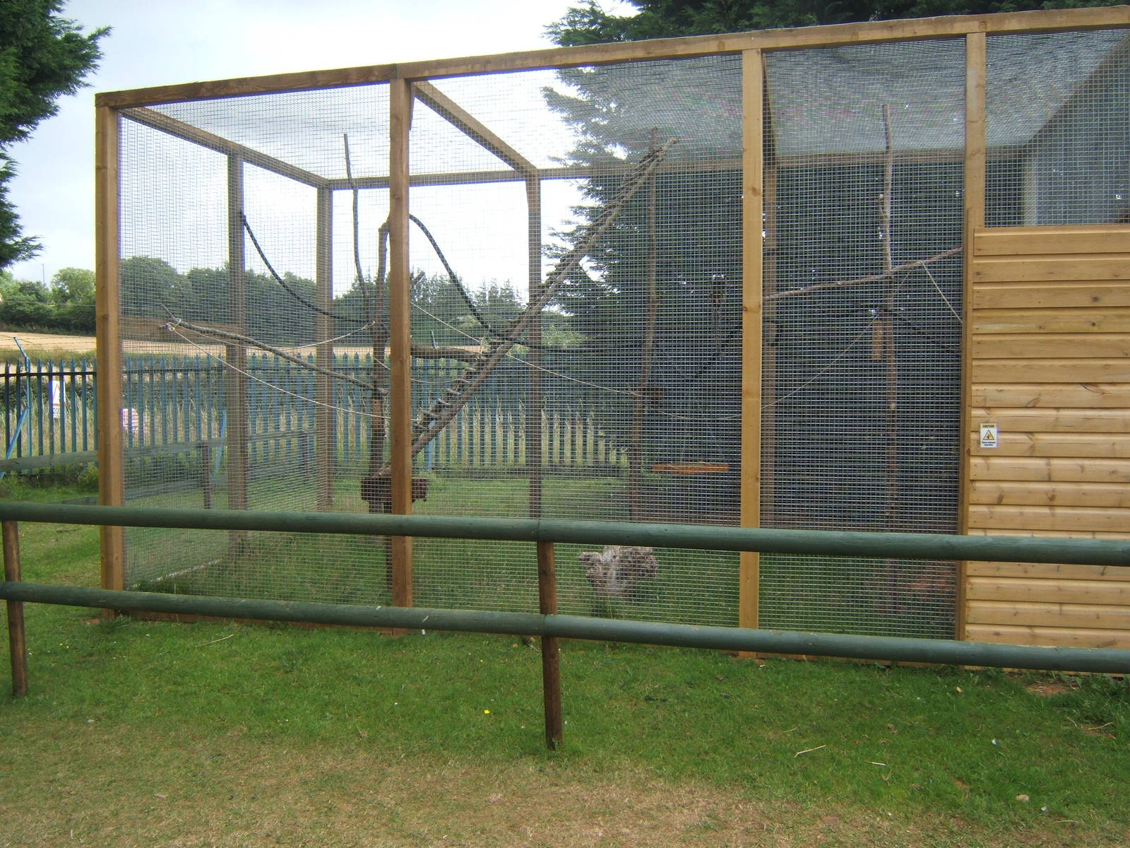 part of the new Marmoset and Tamarin enclosures