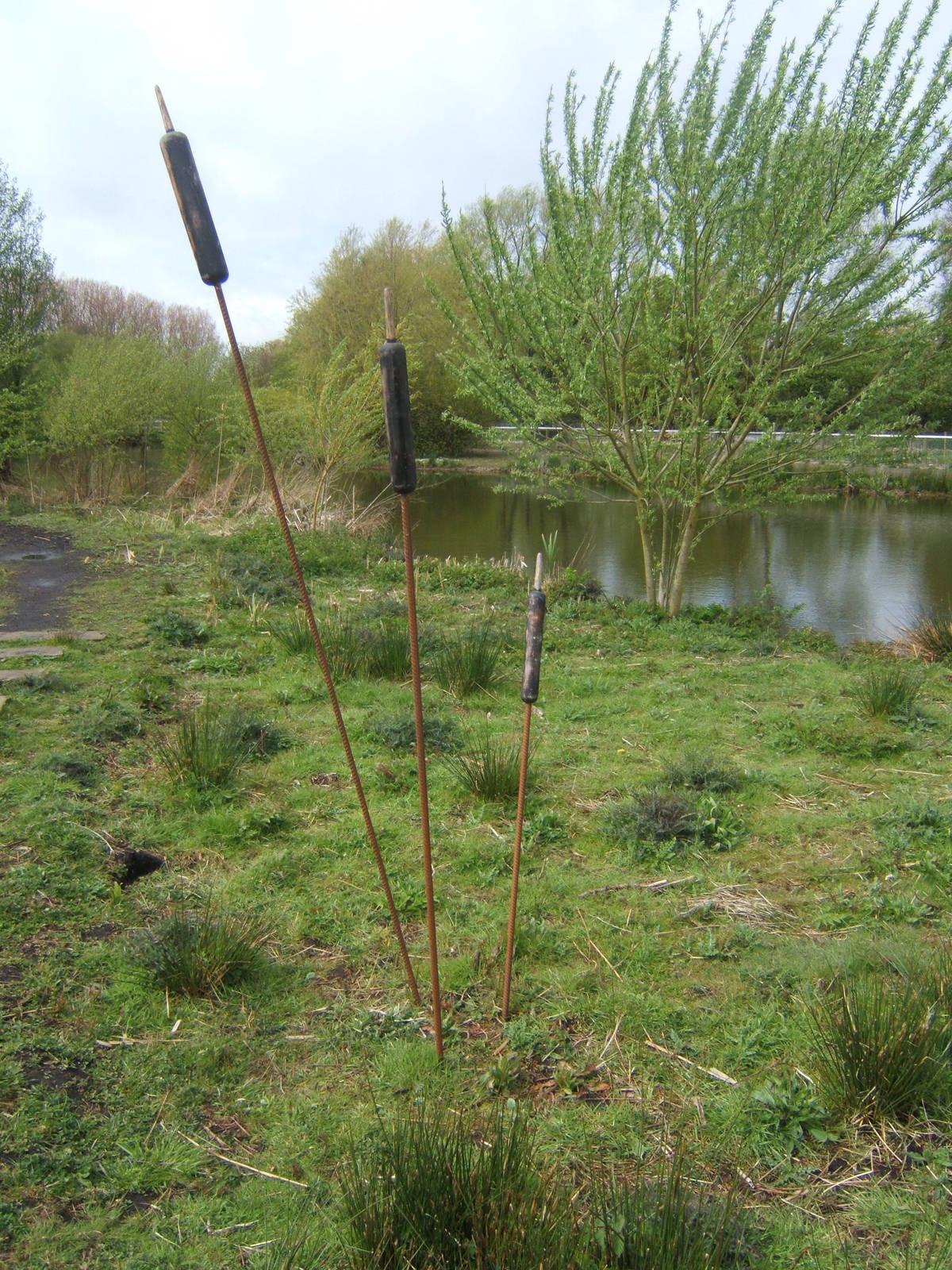 Part of the new Wild Walk trail
