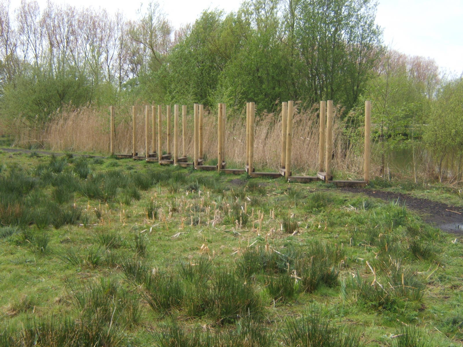 Part of the new Wild Walk trail