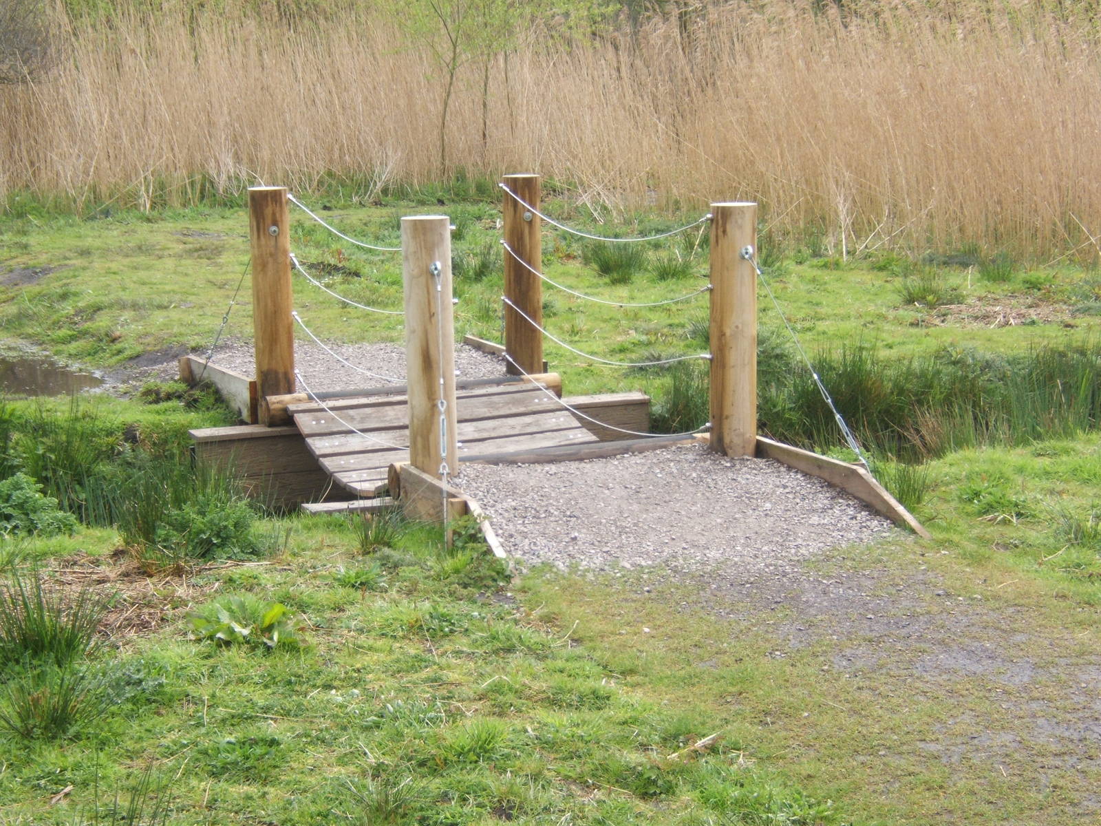 Part of the new Wild Walk trail