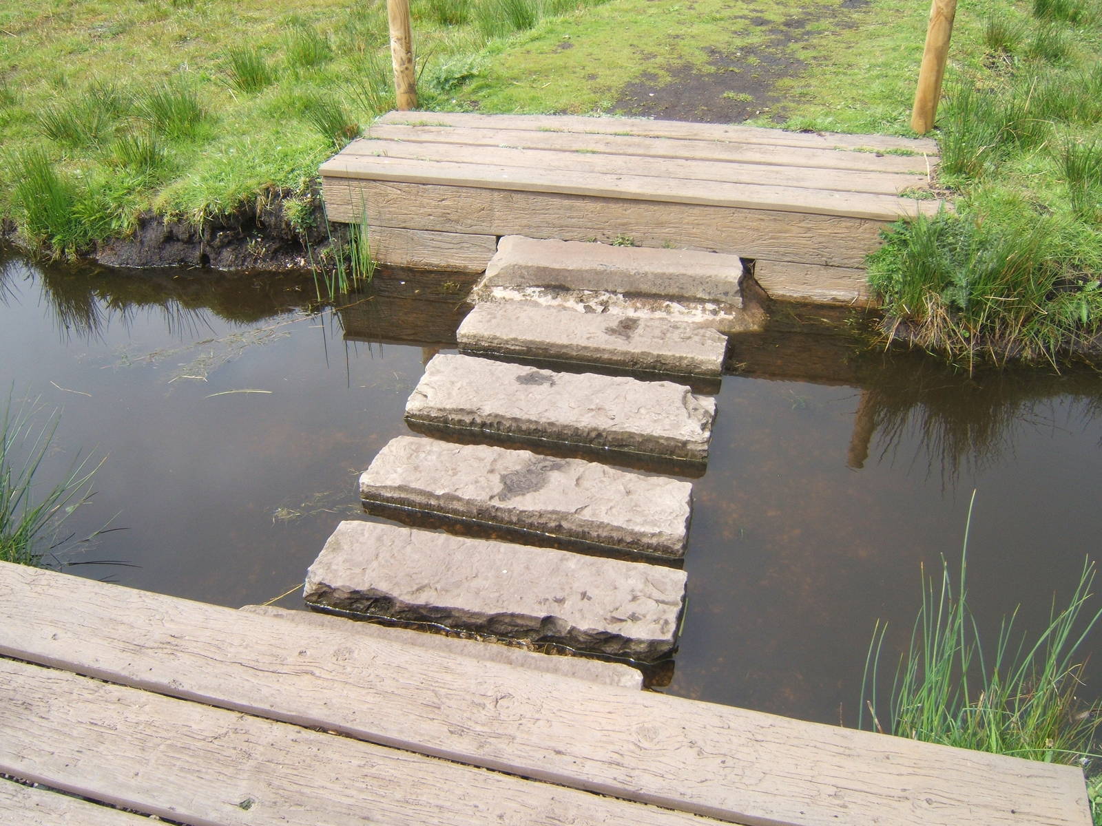 Part of the new Wild Walk trail