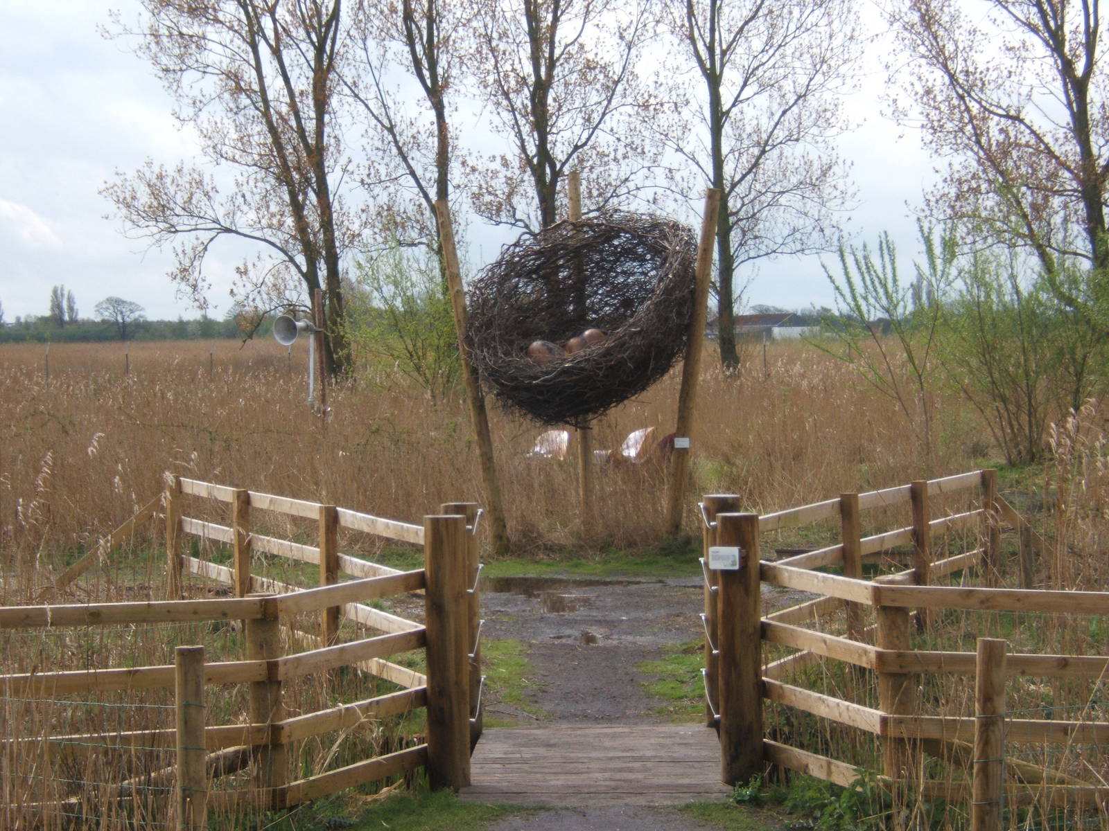 Part of the new Wild Walk trail