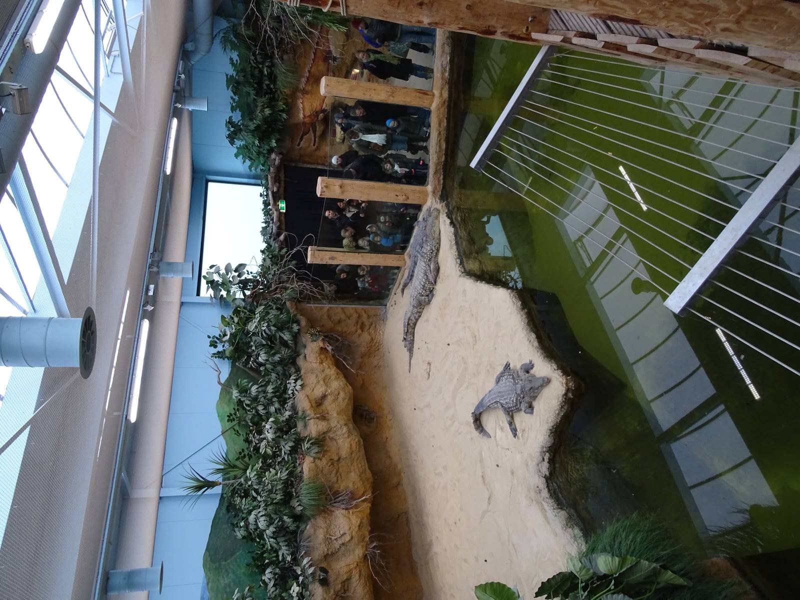 Part of the nile croc enclosure