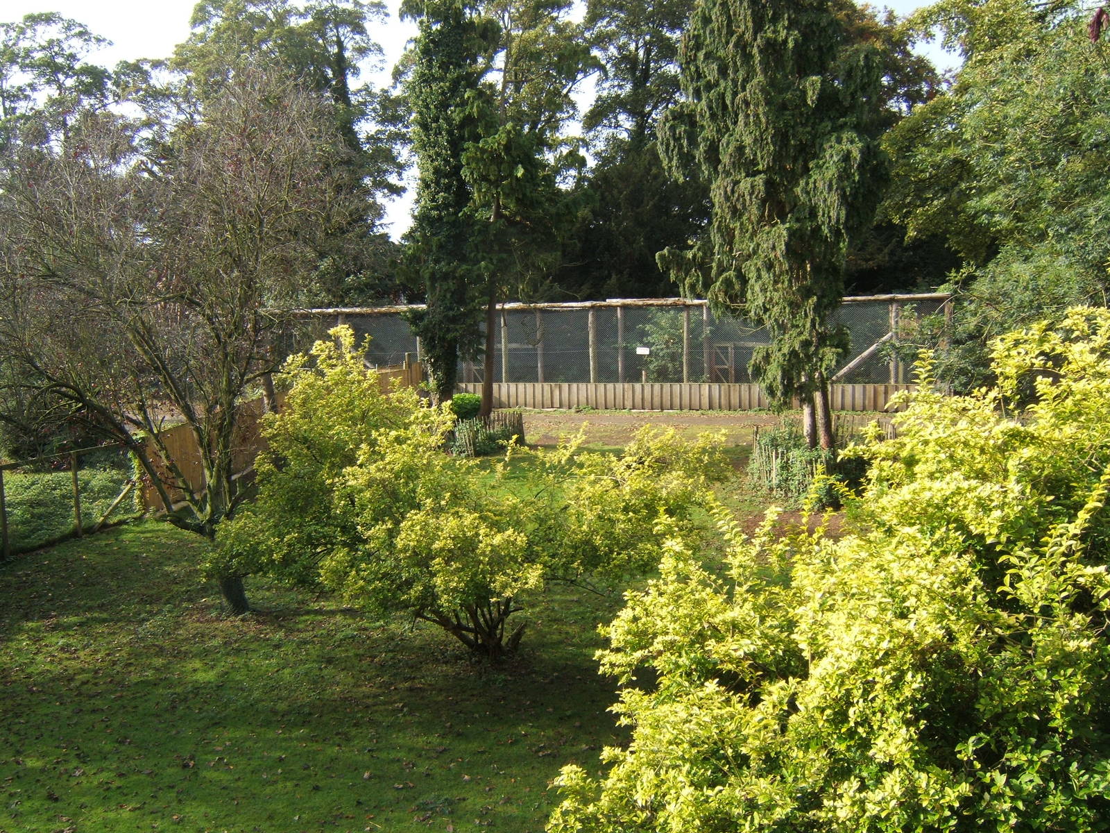 Part of the old Bird garden that you can no longer get to