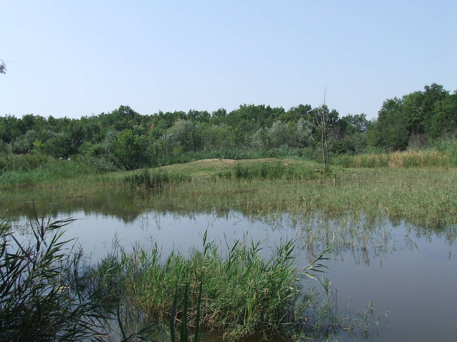 Part of the Pantanal exhibit @ Szeged Zoo, Hungary