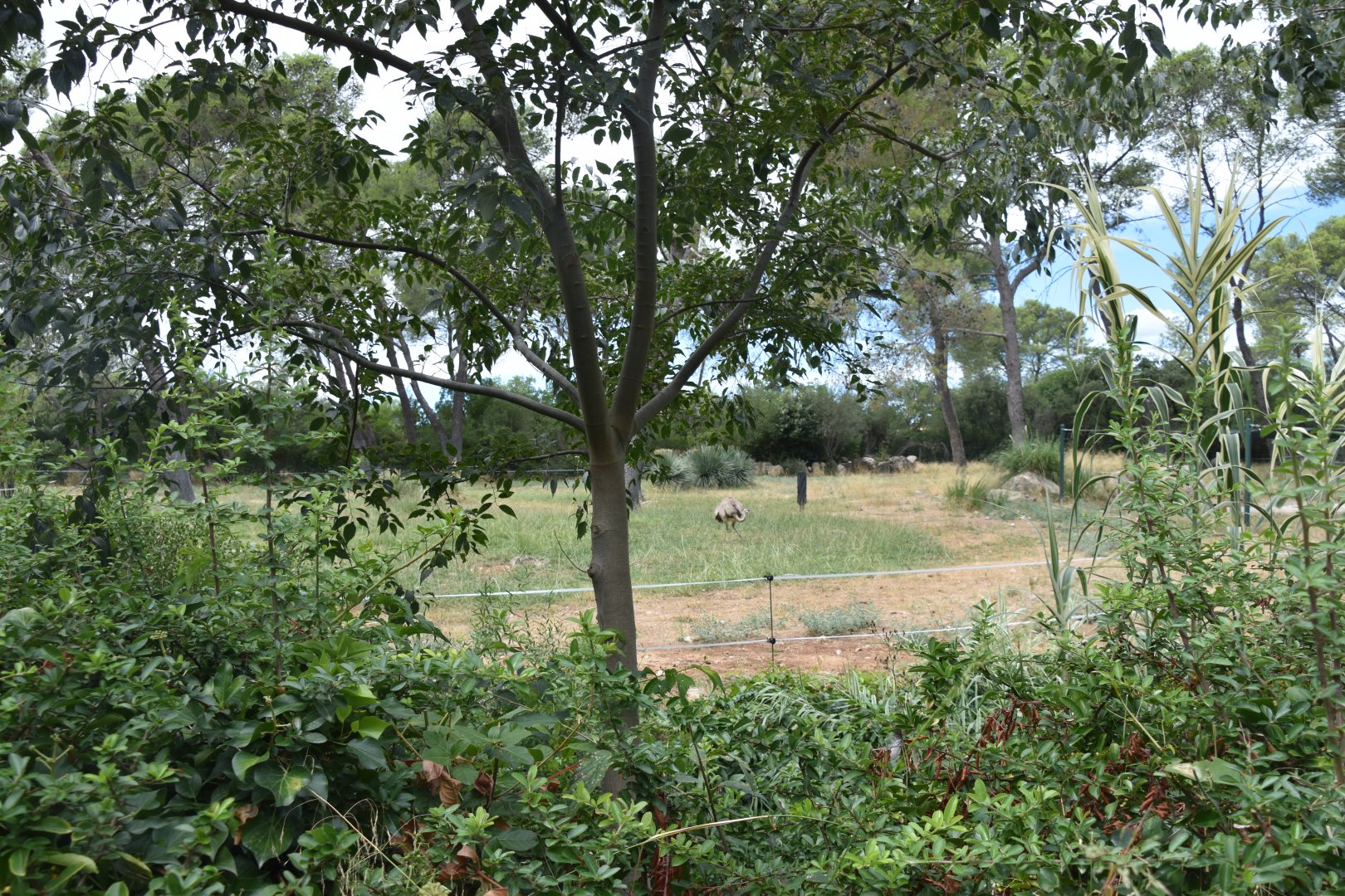 Part of the Pantanal exhibit