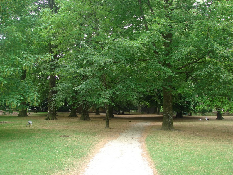 Part of the park with free-roaming animals