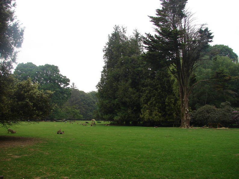 Part of the park with free-roaming animals