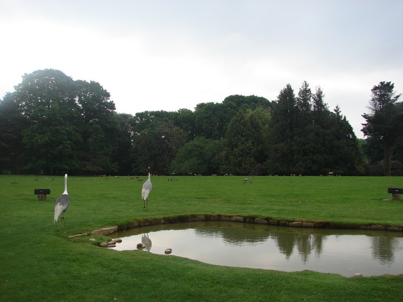 Part of the park with free-roaming animals