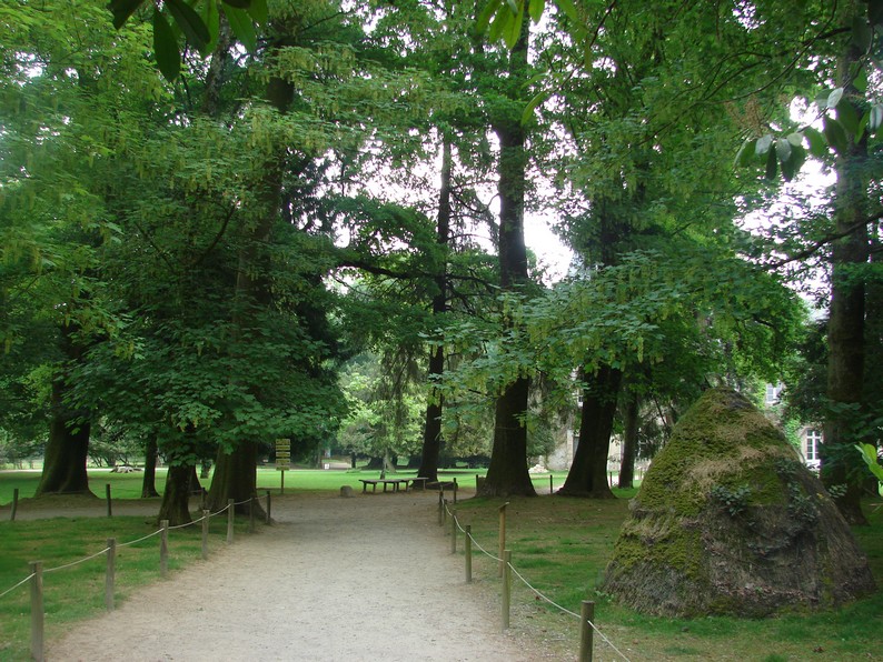 Part of the park with free-roaming animals