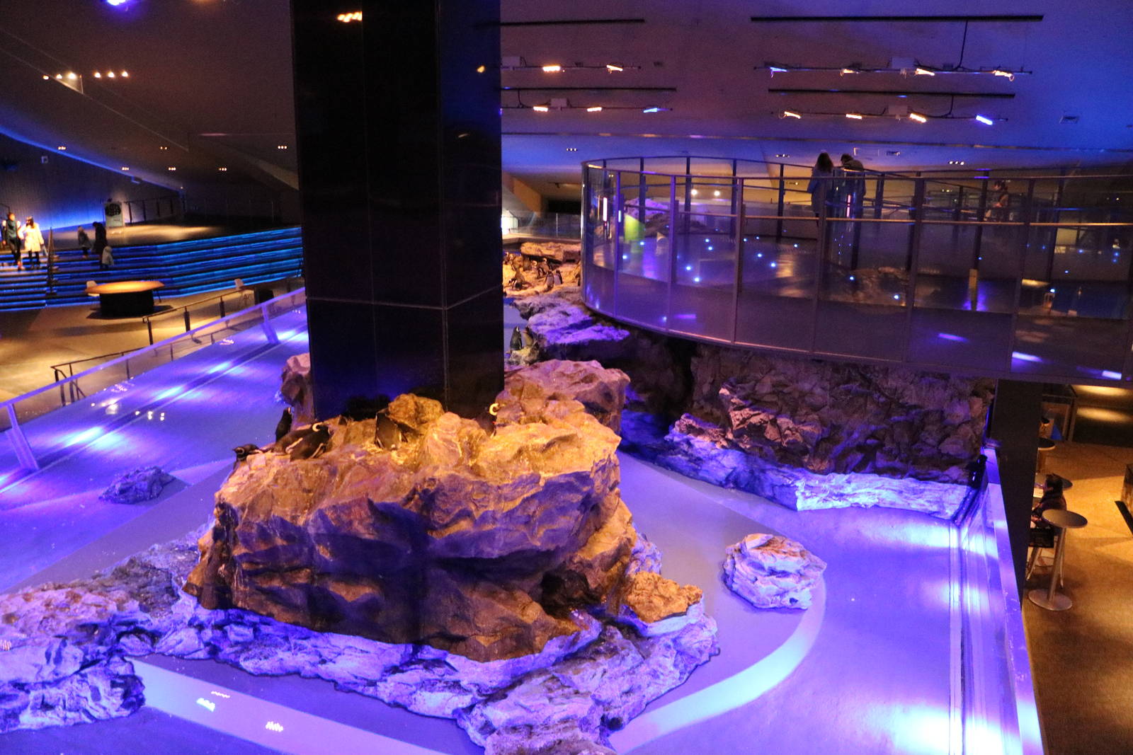 Part of the penguin enclosure - Sumida Aquarium, February 2016