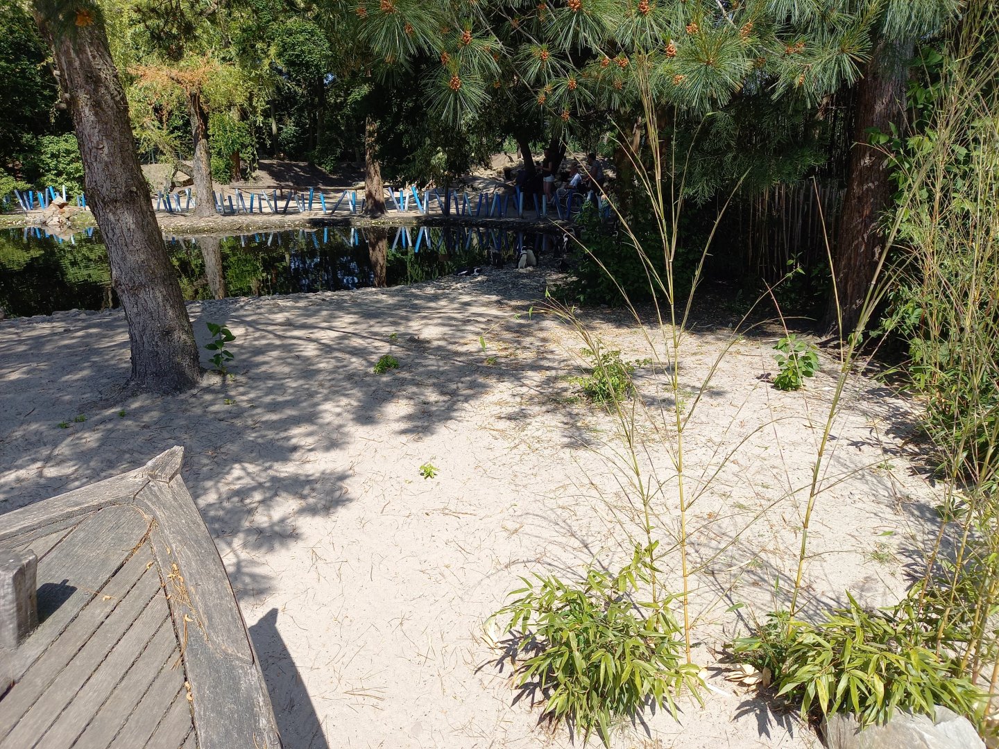 Part of the Penguin-enclosure