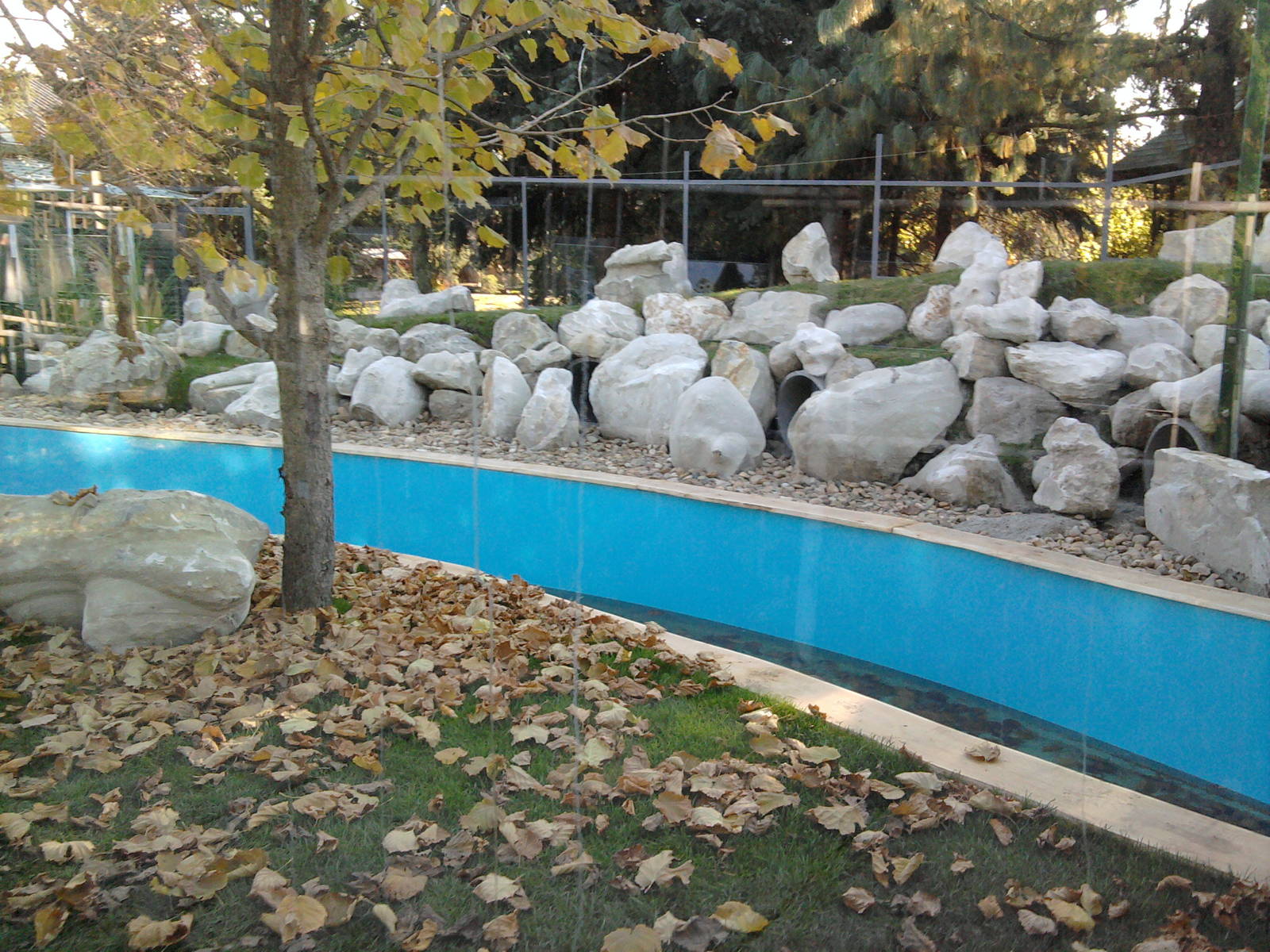 Part of the penguin exhibit-under construction