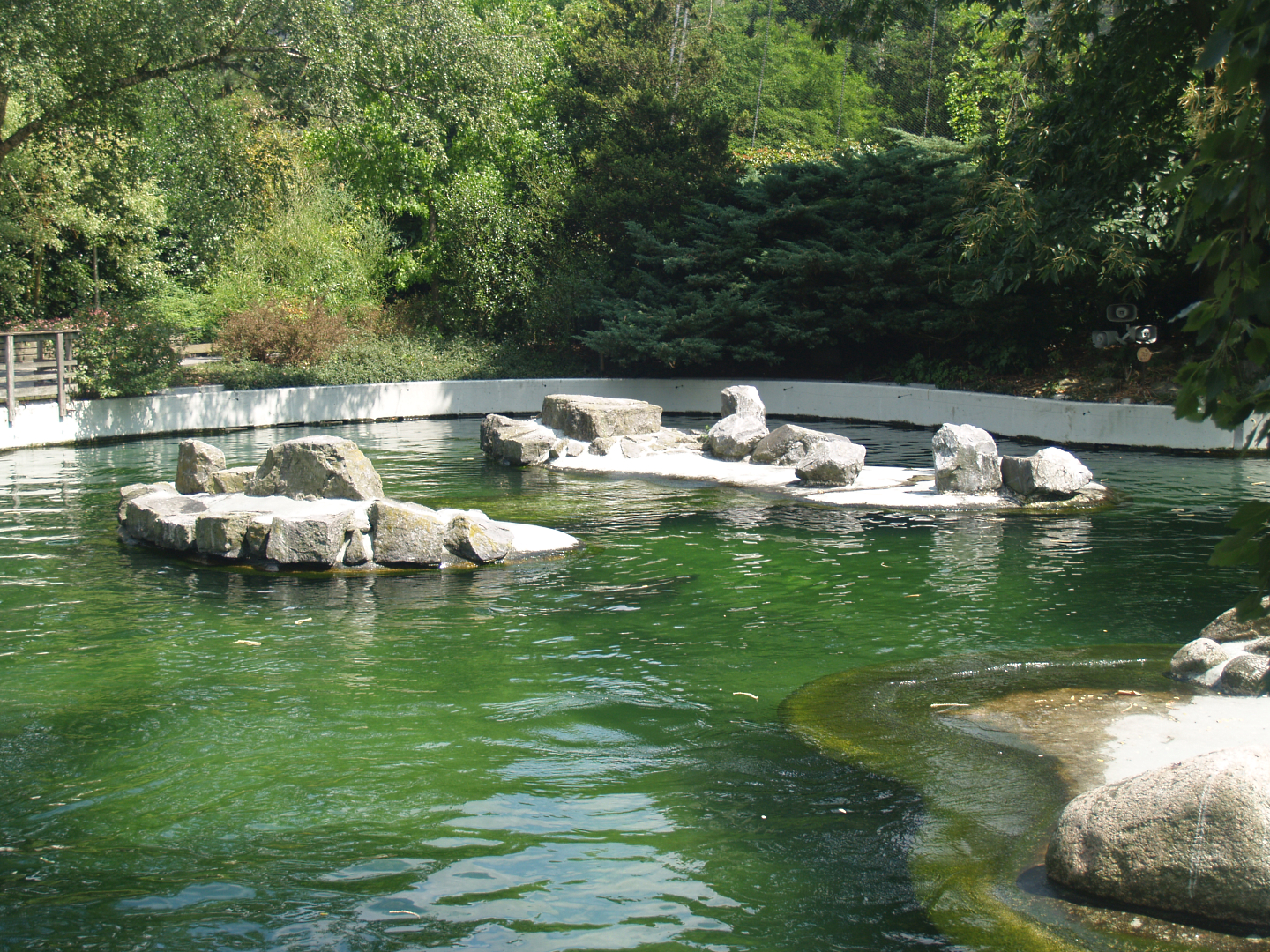 Part of the pinniped exhibit, 2006-07-08