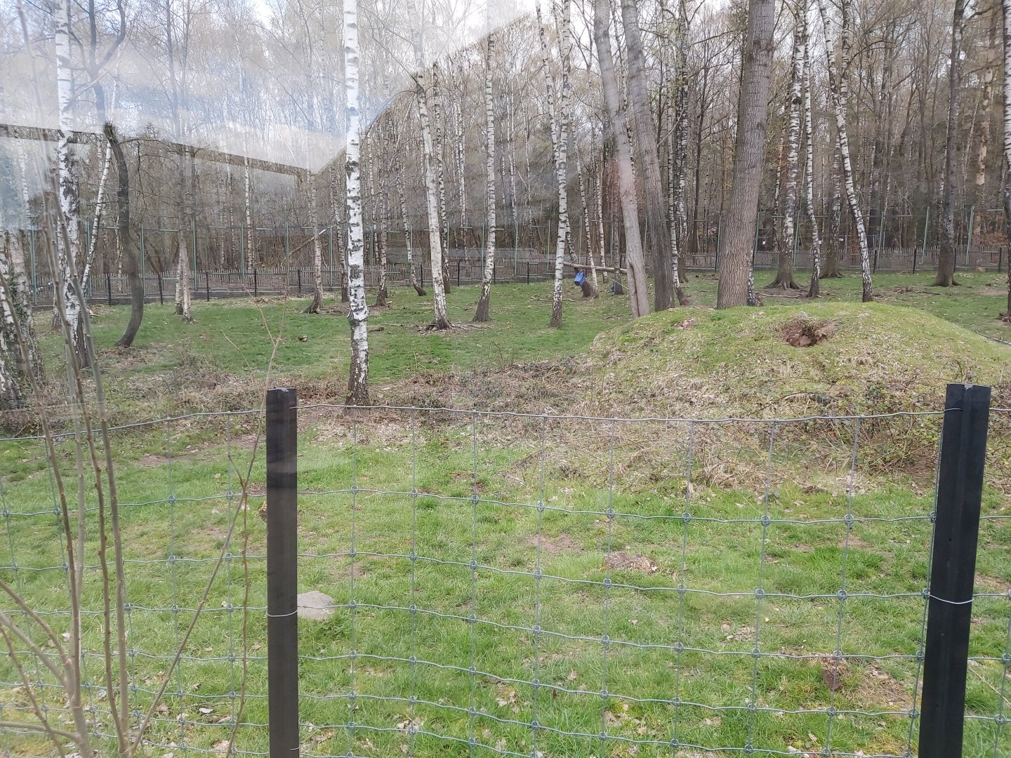 Part of the polar bear enclosure