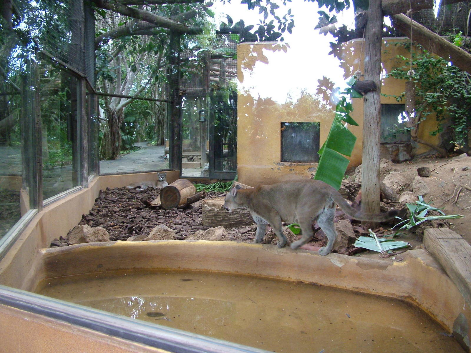 Part of the Puma Exhibit at Jungle Park (Las Aguilas), 13/11/10