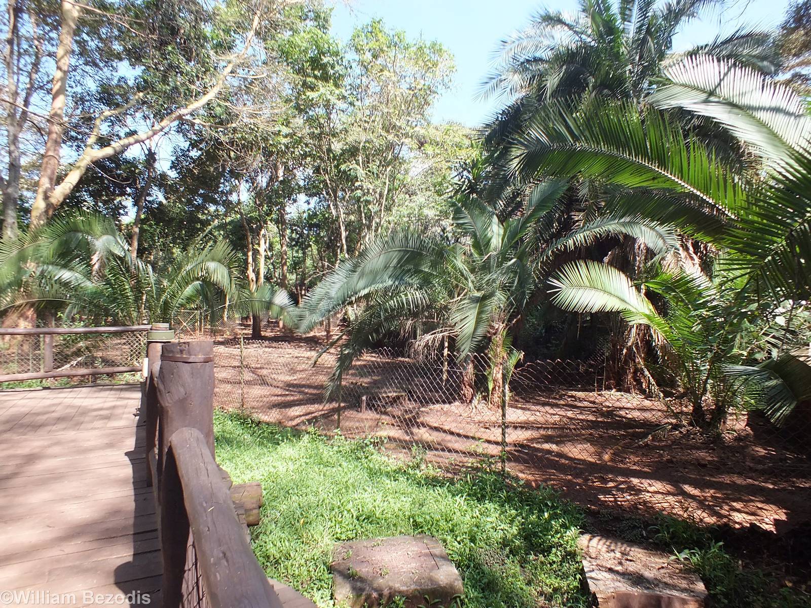 Part of the Pygmy Hippo Enclosure - Nairobi Safari Walk
