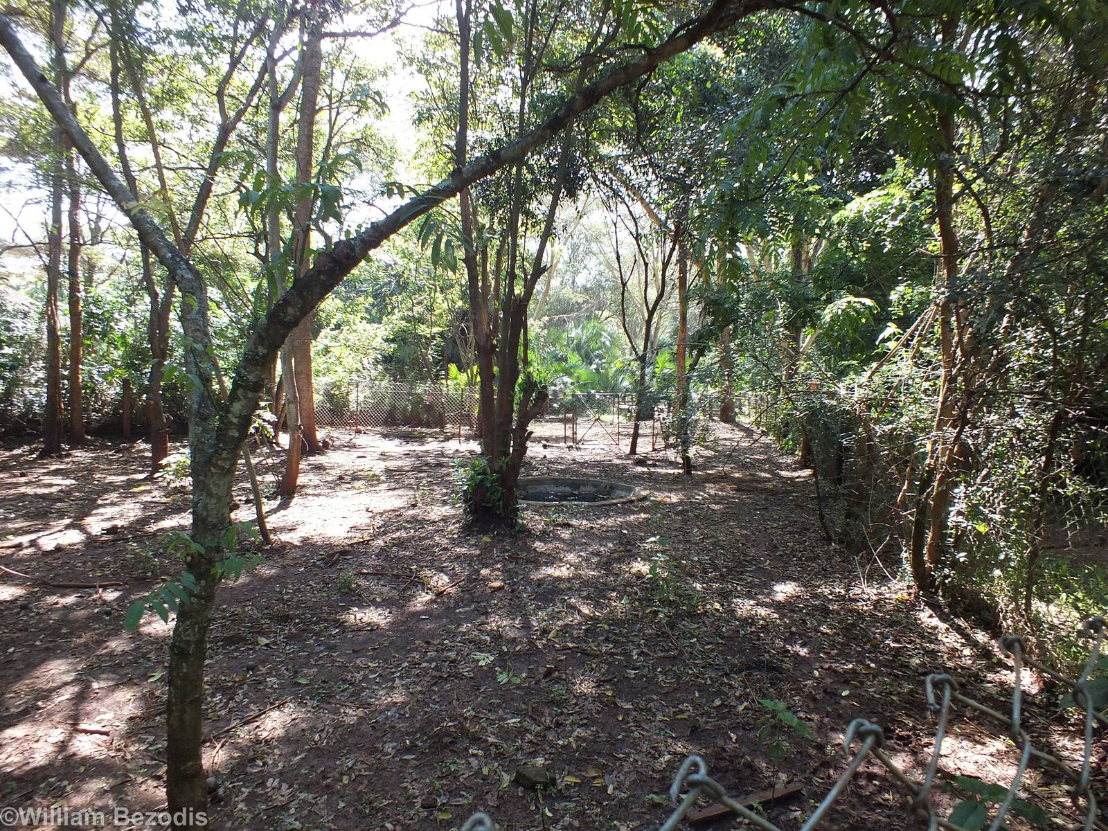 Part of the Pygmy Hippo Enclosure - Nairobi Safari Walk