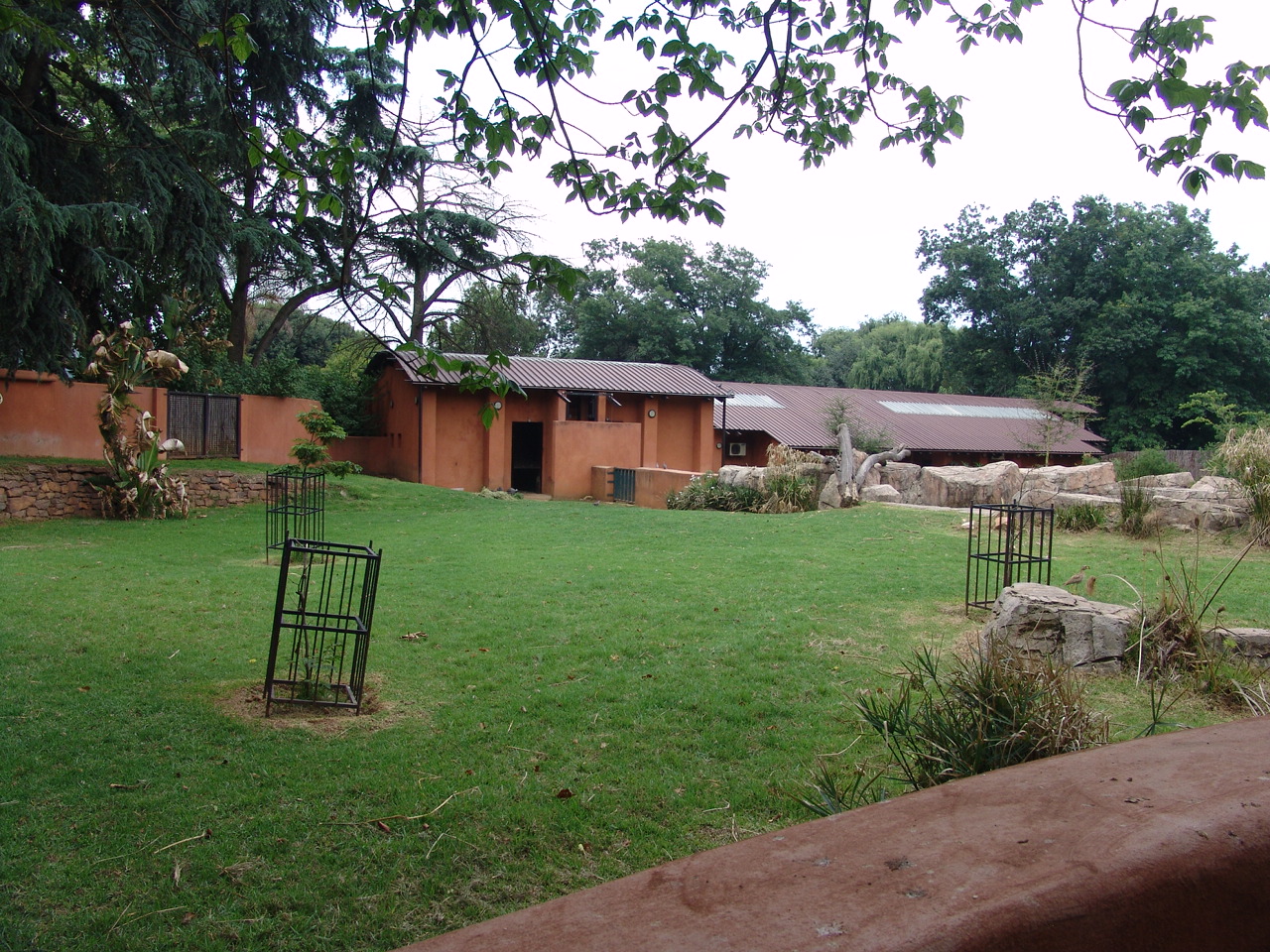 Part of the Pygmy Hippopotamus' (Choeropsis liberiensis) enclosure