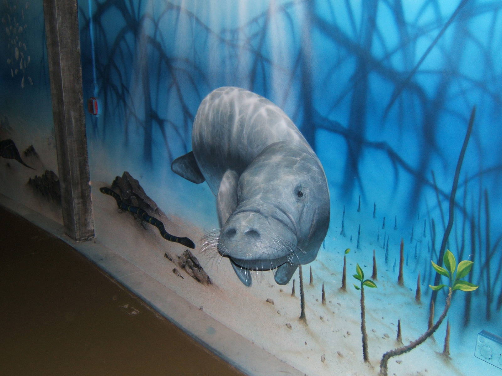 Part of the ramp down to the Mangrove tanks