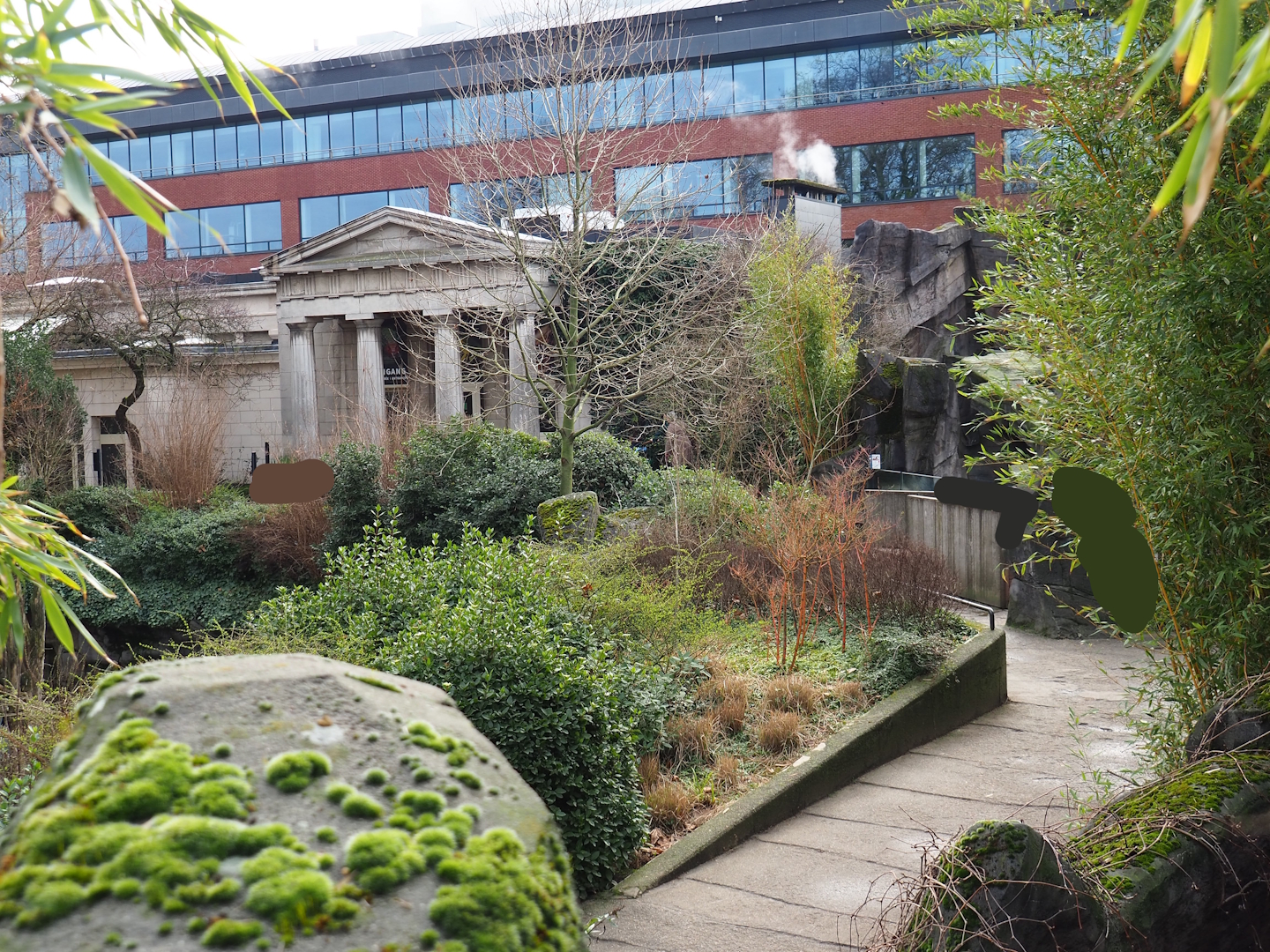 Part of the Reptile House and walkway from Reptile House to alpacas past the markhor exhibit, 2024-02-17