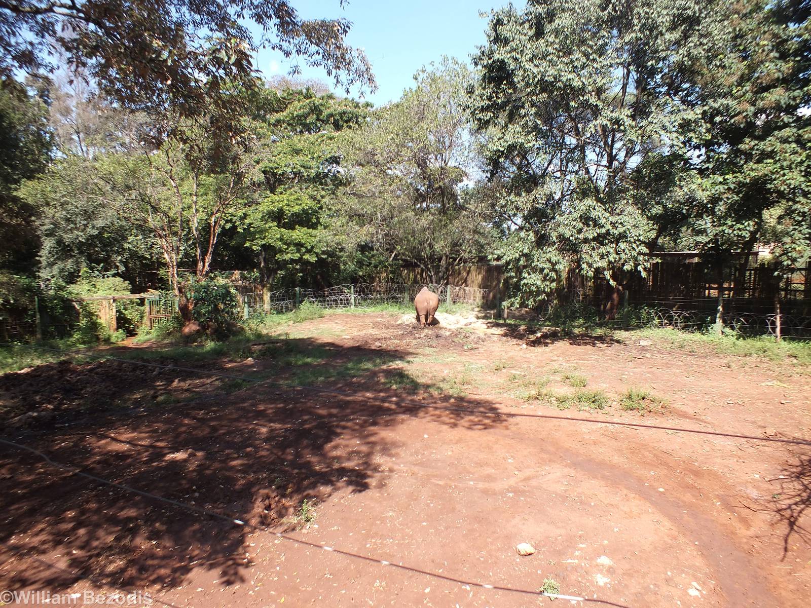 Part of the Rhino Enclosure- Nairobi Safari Walk