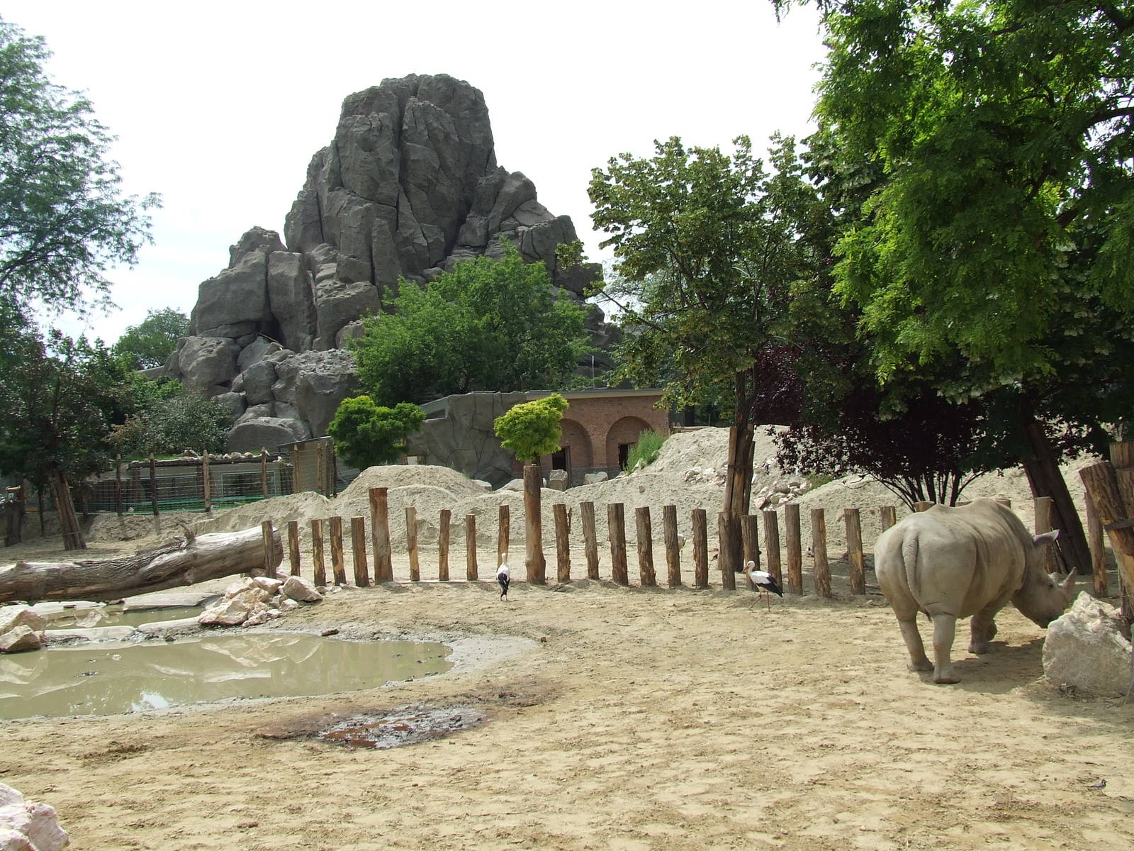 Part of the Rhino paddock, Savanna Exhibit @ Budapest Zoo